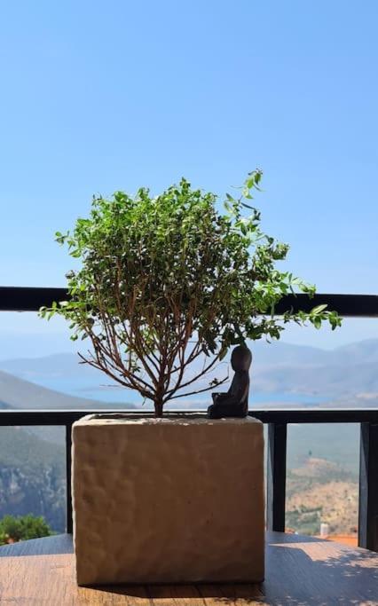 Appartement 'Ηδιστον,Delphes Extérieur photo